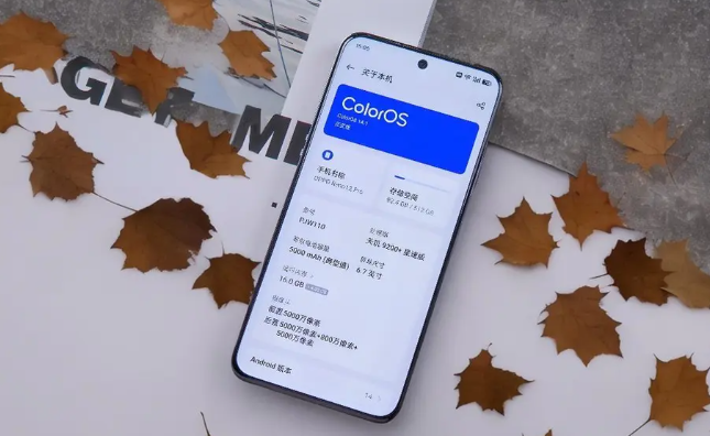 OPPO手机无法发送短信怎么办？（解决OPPO手机短信发送问题）-第2张图片-星耀数码