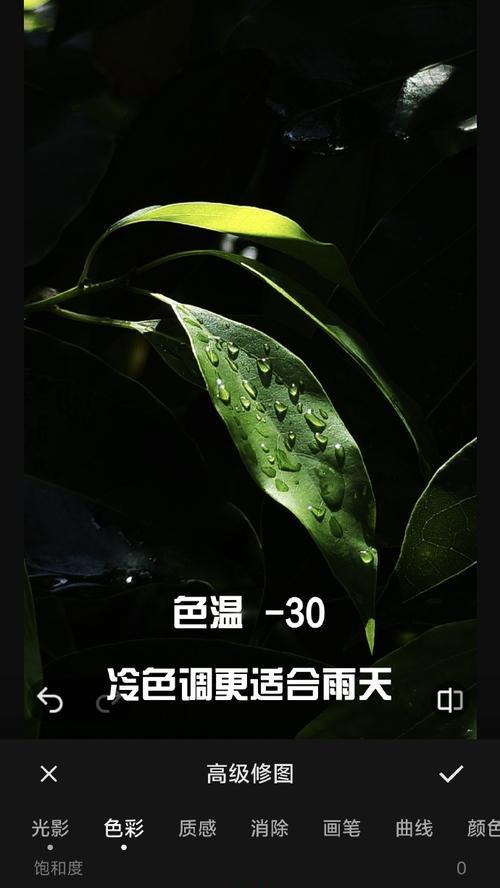 手机修图，打造个性美图（利用手机修图软件，轻松编辑照片，展现独特魅力）-第1张图片-星耀数码
