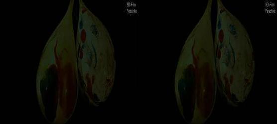 探索左右3D电影效果的奇妙世界（带你领略全新视觉体验，感受真实的立体画面）-第3张图片-星耀数码