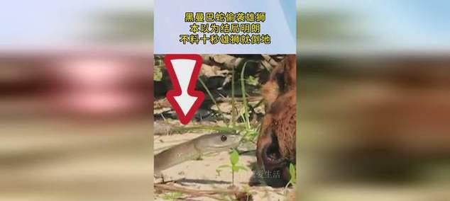 曼巴蛇K23键盘——为你带来极致打字体验（高品质材料，多功能设计，让你爱不释手）-第1张图片-星耀数码