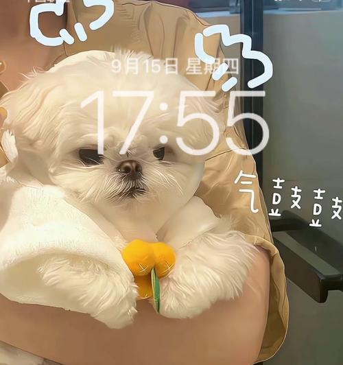 iOS9.21系统的全面升级及优势（发挥系统潜力，提升用户体验）-第3张图片-星耀数码