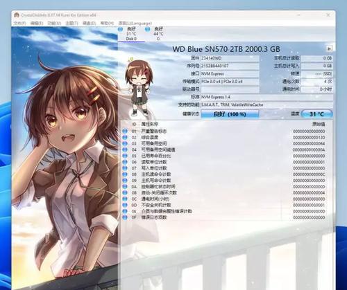以西数硬盘固件刷新教程（详细步骤及操作注意事项）-第2张图片-星耀数码