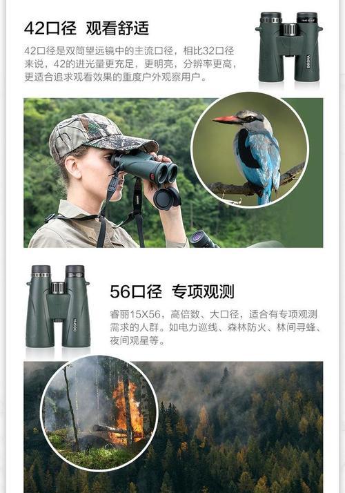高清丽镜屏（高清丽镜屏）-第3张图片-星耀数码