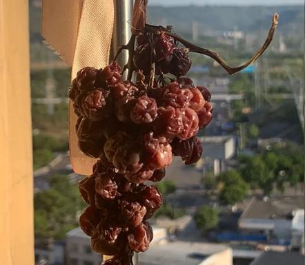 苹果7晒太阳后的结果如何？（揭秘苹果7晒太阳后会发生的变化）-第2张图片-星耀数码