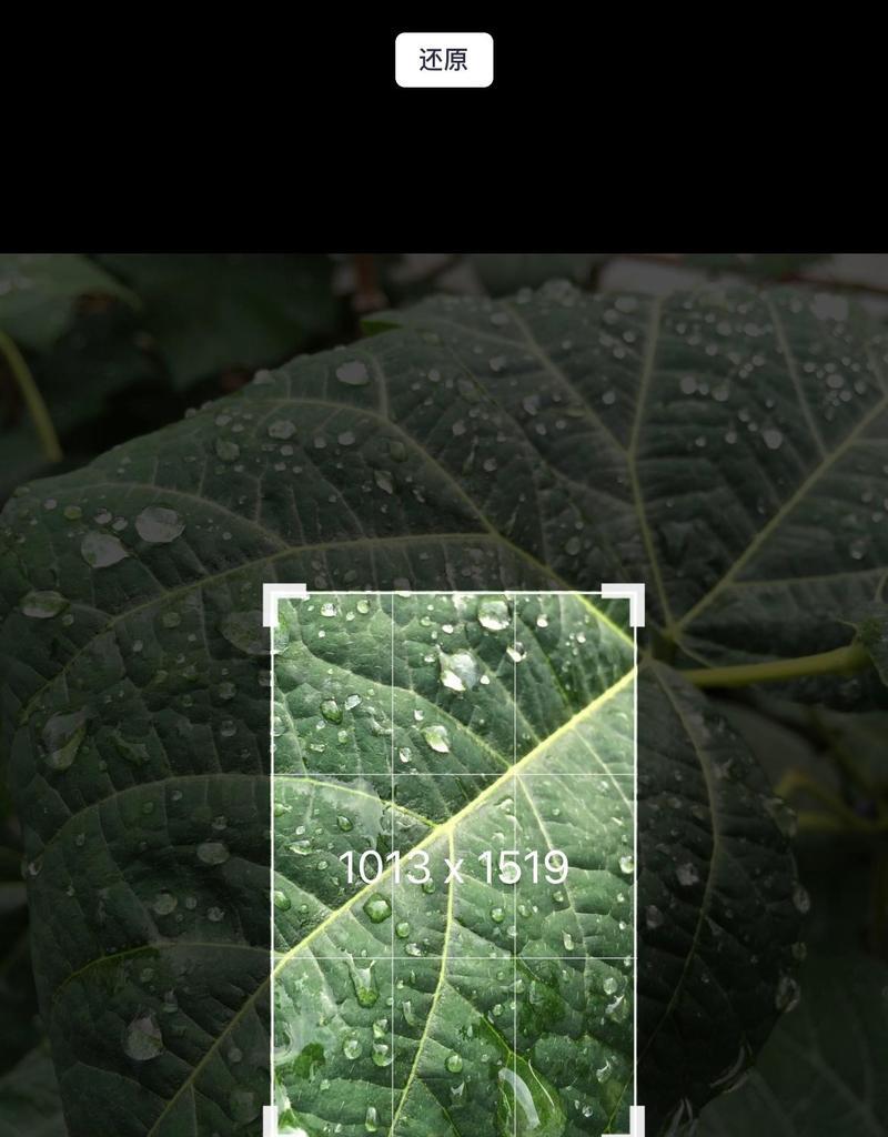 苹果5s的照相效果如何？（解析苹果5s相机的画质表现和功能特点）-第3张图片-星耀数码