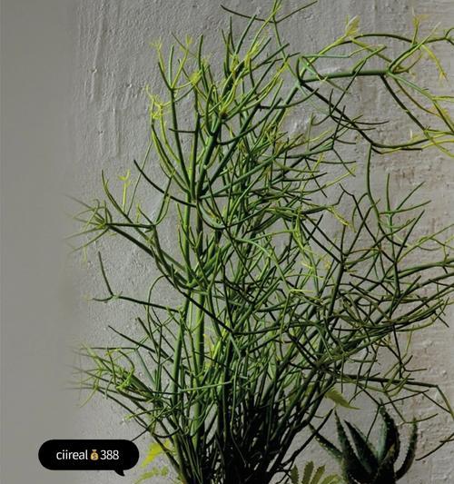 先马雅典娜机箱——为高性能游戏而生（探索先马雅典娜机箱的创新设计和优越性能）-第1张图片-星耀数码