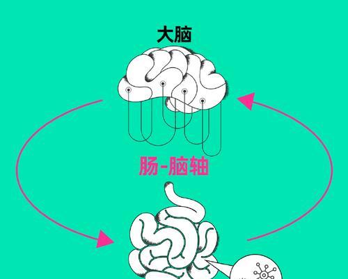 放松大脑的艺术（以简单方式舒缓压力、促进专注、增强记忆力与创造力）-第1张图片-星耀数码
