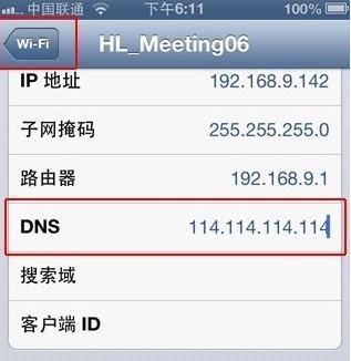 如何在苹果手机上设置DNS（简单步骤教你更改苹果手机的DNS设置）-第1张图片-星耀数码