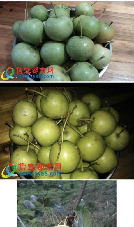 大成手机（功能强大、性能出色，大成手机成为市场热销品牌）-第3张图片-星耀数码