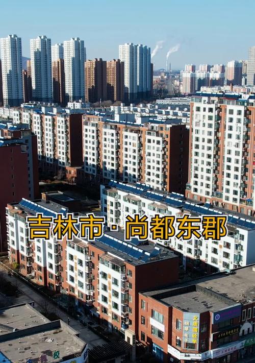 探索吉林市领域手机的发展现状及未来趋势（以吉林市为例，手机产业如何推动经济发展？）-第2张图片-星耀数码