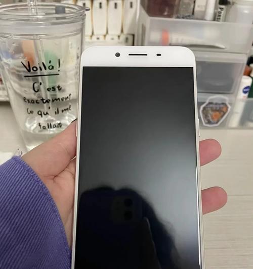 R9s屏幕的画质与表现如何？（探究R9s屏幕的特点和优势）-第1张图片-星耀数码