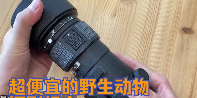 《探索尼康18-300镜头的多功能性能》（完美搭配尼康相机，发现无限摄影可能）-第3张图片-星耀数码