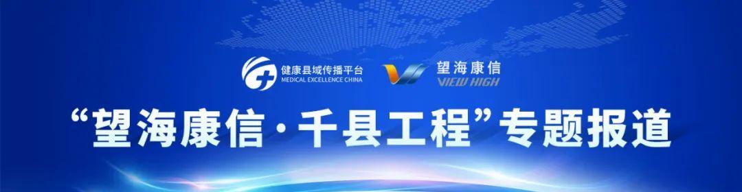 揭秘望海康信（以望海康信怎么样为例，探索中国科技企业的发展与创新）-第3张图片-星耀数码