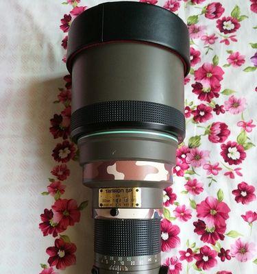 探索腾龙28-300mm镜头的优势与特点（一镜在手，自由创作无限可能）-第2张图片-星耀数码