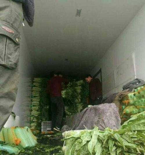 一亩田经营的可行性与挑战（探索小规模农业经营的机会与风险）-第1张图片-星耀数码