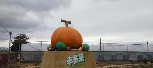 小米5x拍照表现如何？（小米5x的摄影能力全面解析）-第3张图片-星耀数码