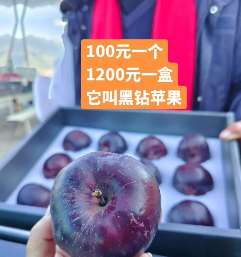 1元买苹果手机，真实还是骗局？（揭开1元购苹果手机的真相，你绝不能错过！）-第3张图片-星耀数码
