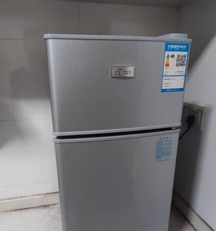 小型迷你冰箱的质量如何？（品牌、容量、耐用性等方面的考量）-第3张图片-星耀数码