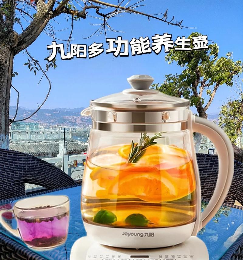 九阳养生壶的神奇功效（一壶养生，享受健康生活）-第1张图片-星耀数码