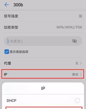 苹果手机如何设置DNS？（简单教程帮你快速设置苹果手机的DNS服务器）-第3张图片-星耀数码