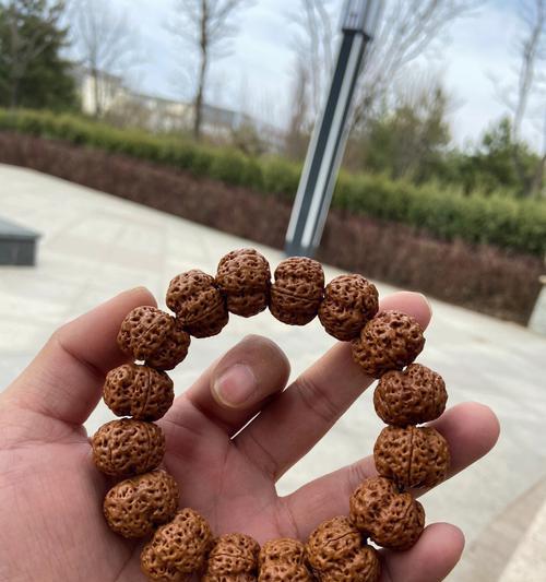 金刚一号-第3张图片-星耀数码