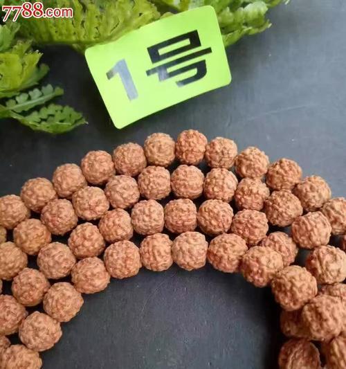 金刚一号-第2张图片-星耀数码