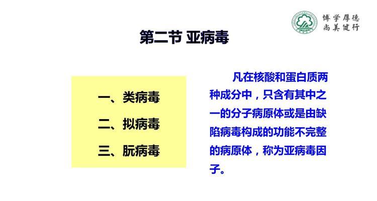 中病毒的传播和影响（中病毒席卷全球，网络安全岌岌可危）-第2张图片-星耀数码