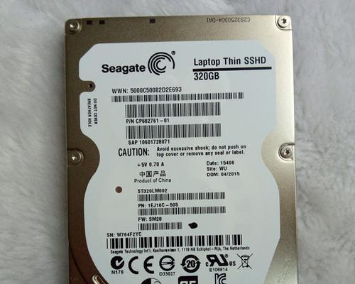 探索DM硬盘320G的性能与优势（了解DM硬盘320G的关键特点和应用领域）-第1张图片-星耀数码