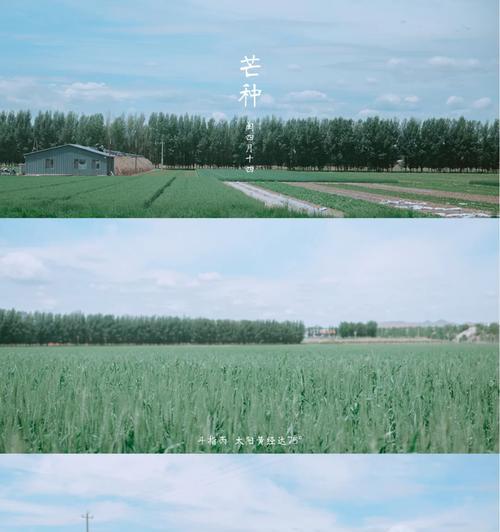 探究尼康D610宽容度的优势与应用（解密D610的高动态范围，让您的摄影更出色）-第1张图片-星耀数码