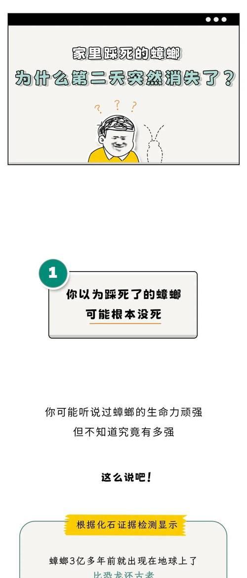 踩蟑螂的后果（踩蟑螂会引发哪些问题？）-第1张图片-星耀数码