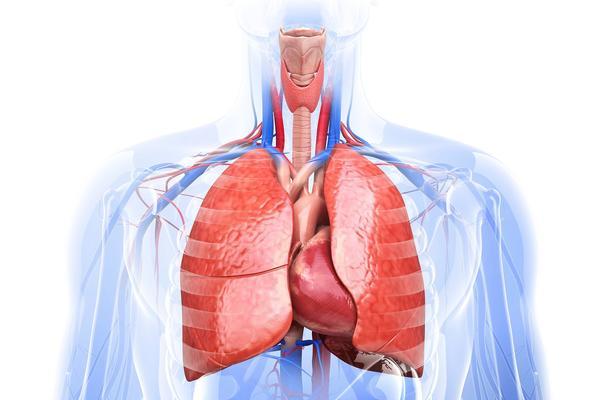 电脑中的病毒（探索电脑中病毒的影响及有效预防措施）-第2张图片-星耀数码
