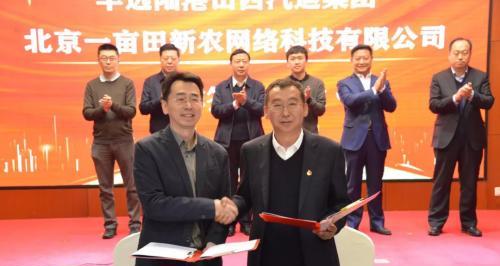 以一亩田经营，挣钱容易吗？（探寻一亩田经营的利与弊）-第1张图片-星耀数码