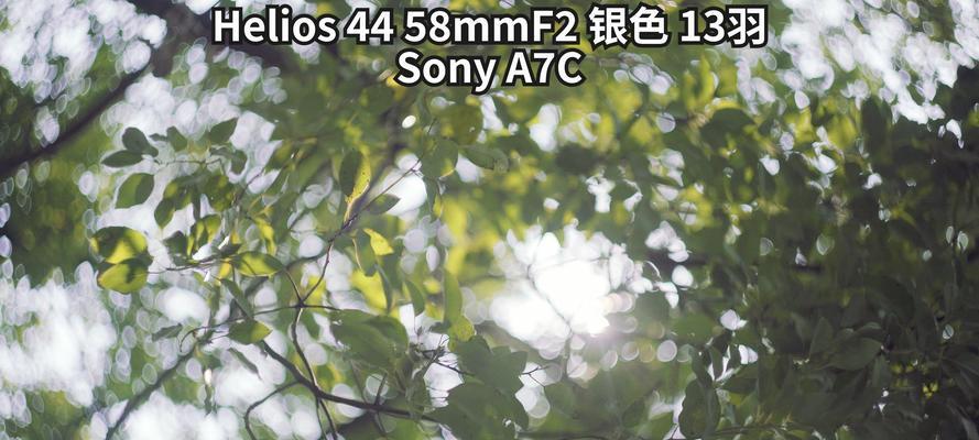 探索58mm镜头的功能与特点（解密58mm镜头的成像能力与适用场景）-第3张图片-星耀数码