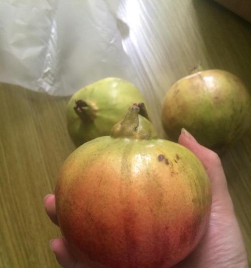 拼好货水果质量究竟如何？（品质保证，新鲜直达，你值得拥有！）-第2张图片-星耀数码