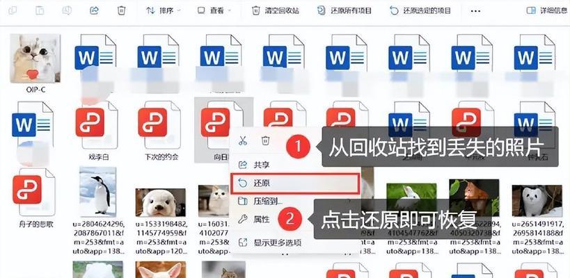 摄影技巧（掌握关键方法，救回珍贵回忆）-第3张图片-星耀数码