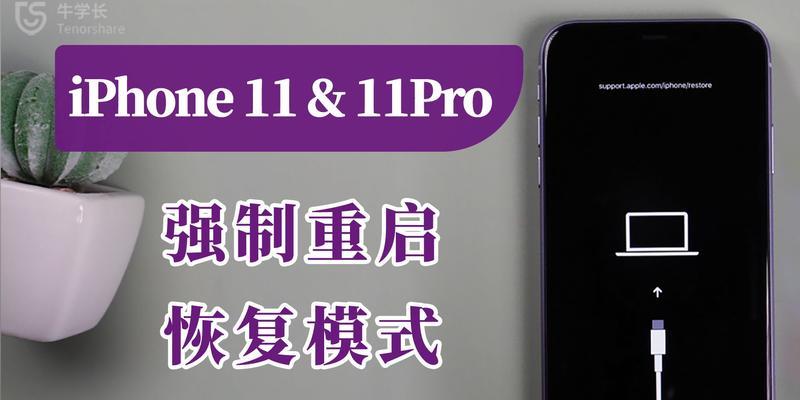 苹果xdfu模式进入指南（详解苹果设备进入xdfu模式的步骤和方法）-第2张图片-星耀数码