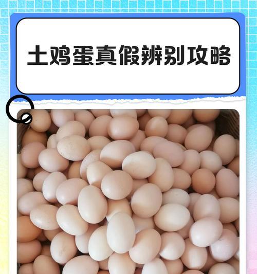 如何快速鉴别真假鸡蛋（掌握这一关键方法，让你远离假鸡蛋的伤害）-第1张图片-星耀数码
